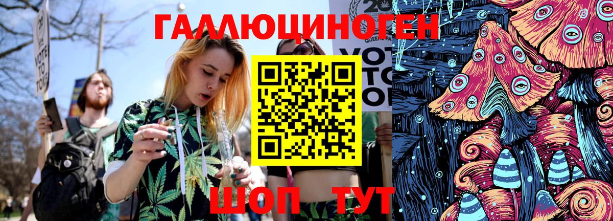 Галлюциногенные грибы Psilocybine cubensis Сочи